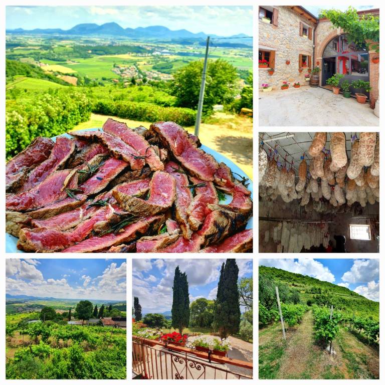 Al Vecio Magazin - Agriturismo con panorama Colli Berici, gestione familiare, cibo locale, passeggiate, uliveti, pet-friendly: Camera doppia — photo 2