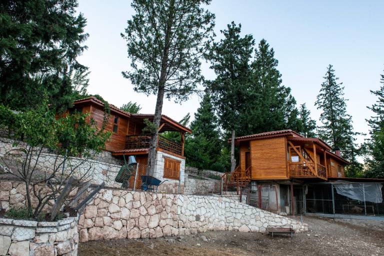 Lodge with pool, patio & yard — photo 4