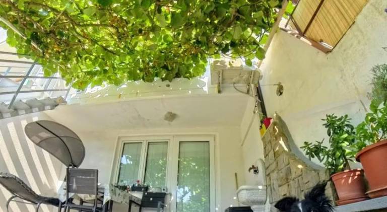 Rental apartment | Pets are welcome in Piran