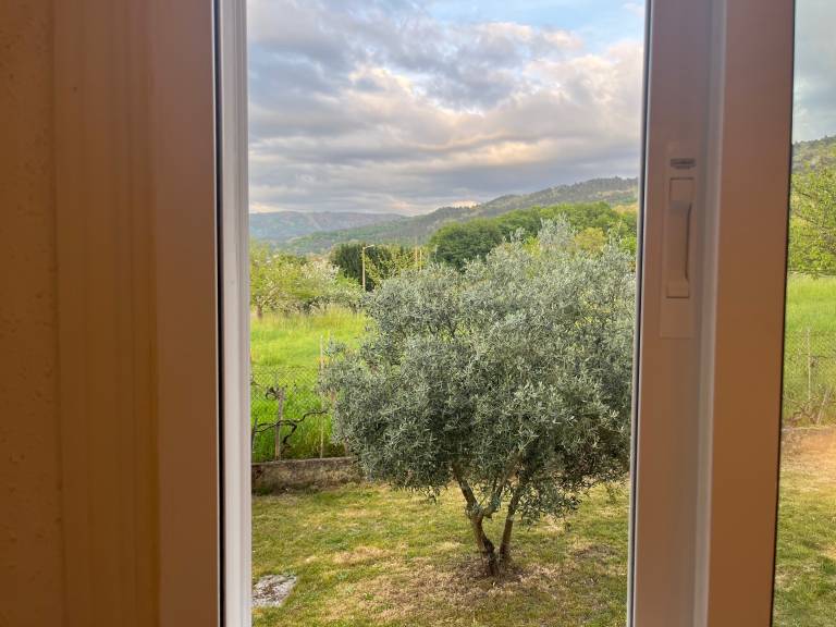 foto46