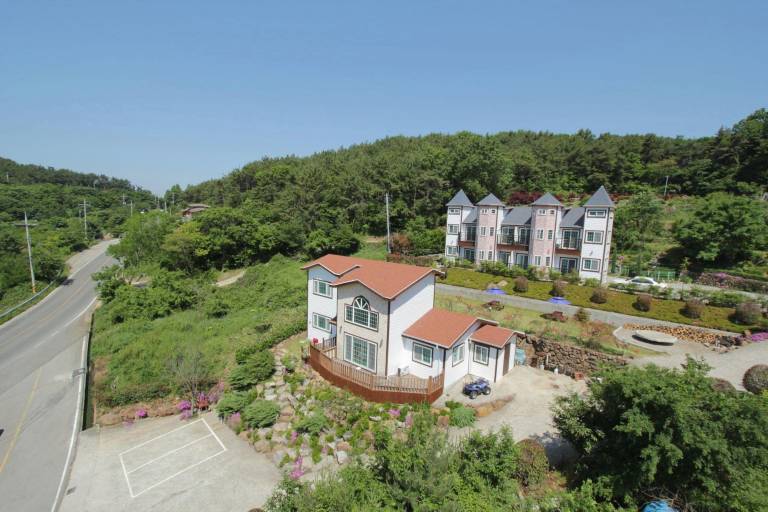 foto1