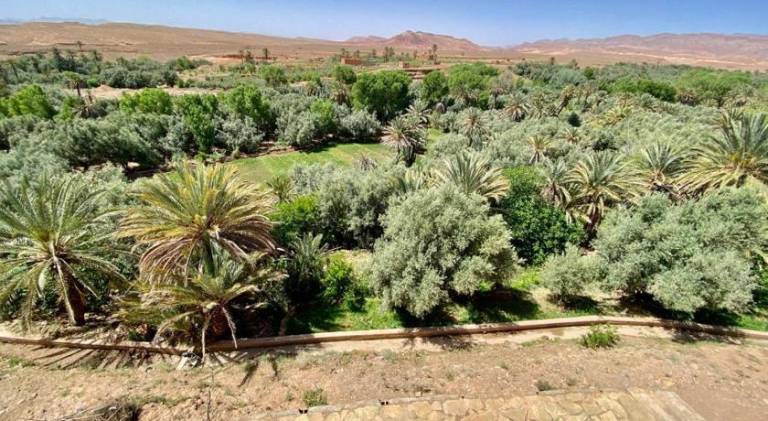 Les chandelles in Tinghir