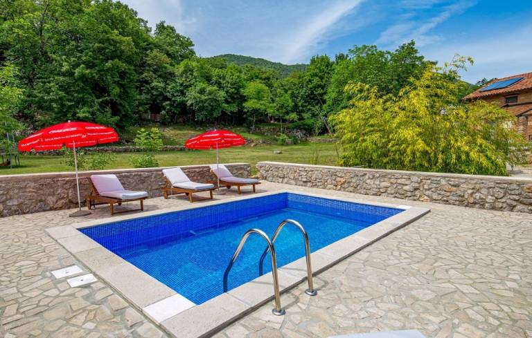 Ample villa with grill, garden & private pool | Pets are welcome — photo 4