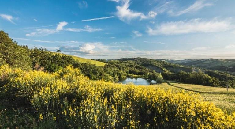 Agriturismo Quattro Castella