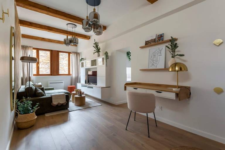 Platière Furnished apartment Downtown Lyon
