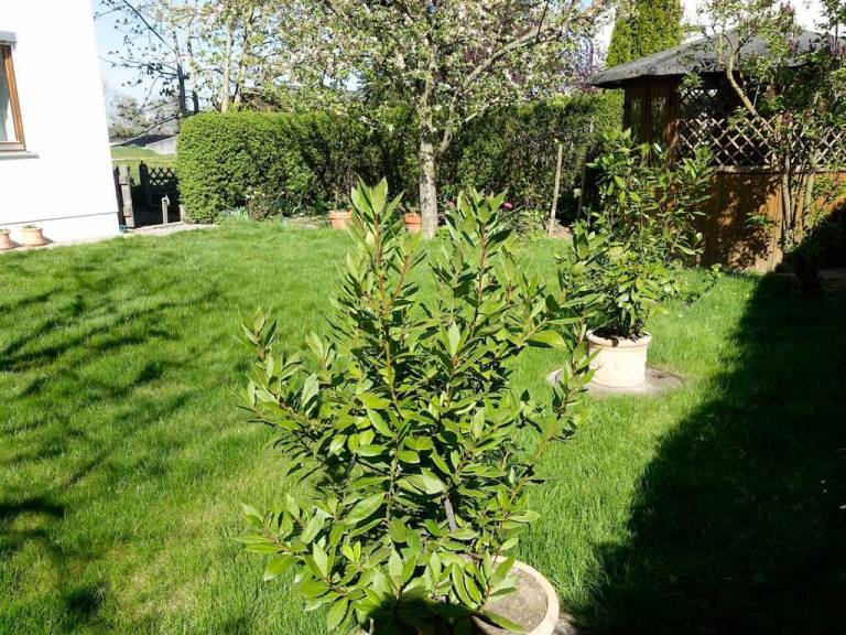 foto21