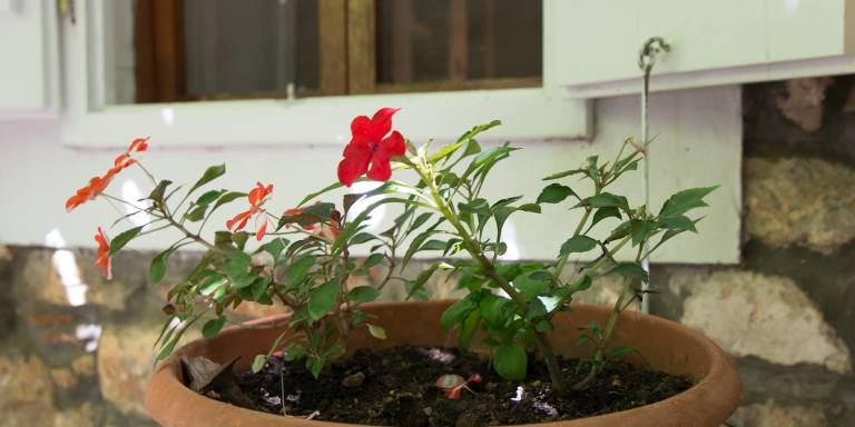 Charming apartment with terrace | Pet-friendly — photo 5