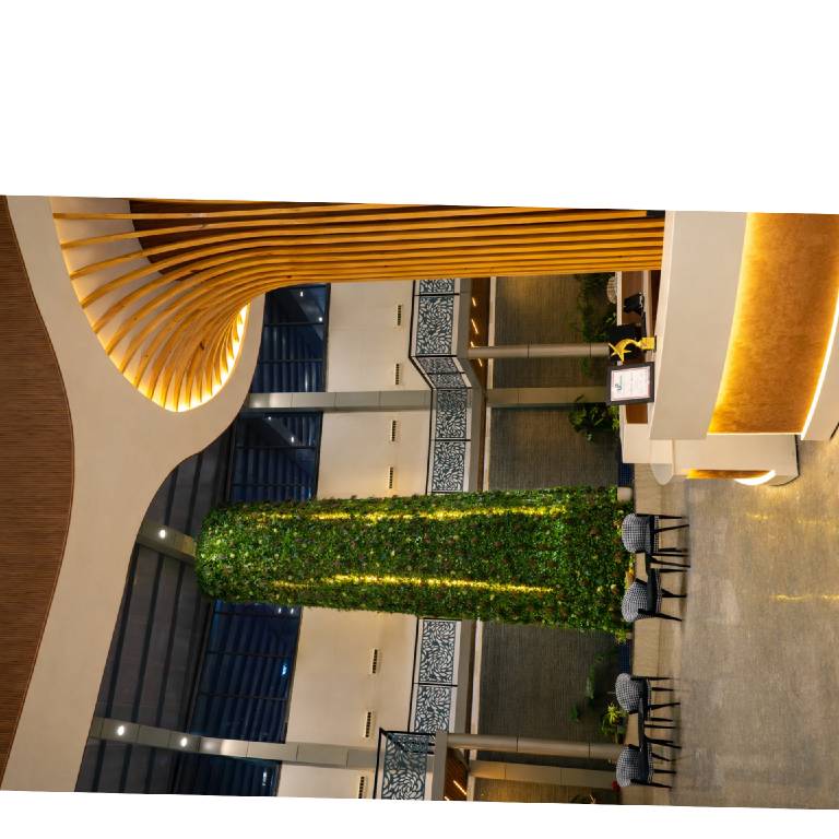 foto5