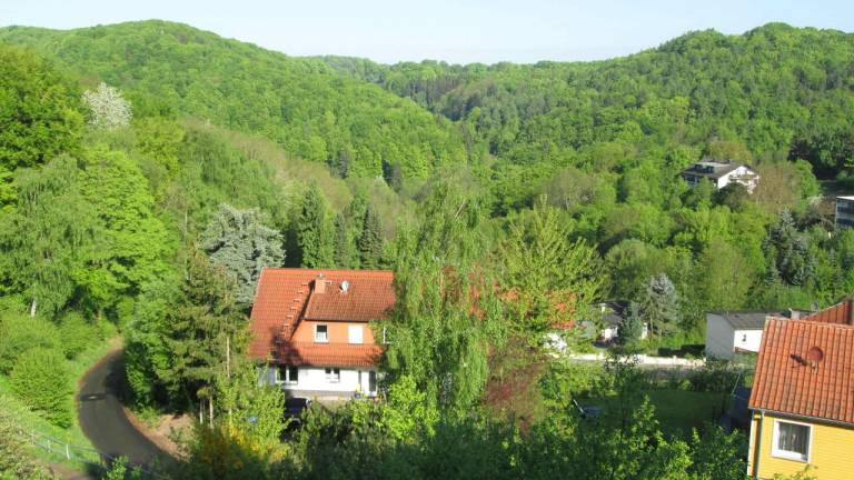 foto11