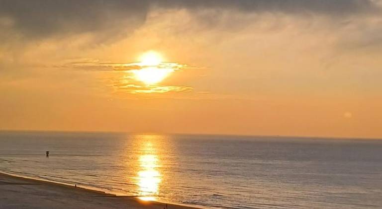 Beautiful apartment | Next to the beach | Pets allowed in Ostend