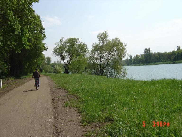 foto11