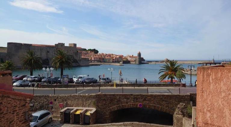 Lovely apartment | Close to the beach | Dogs allowed in Collioure