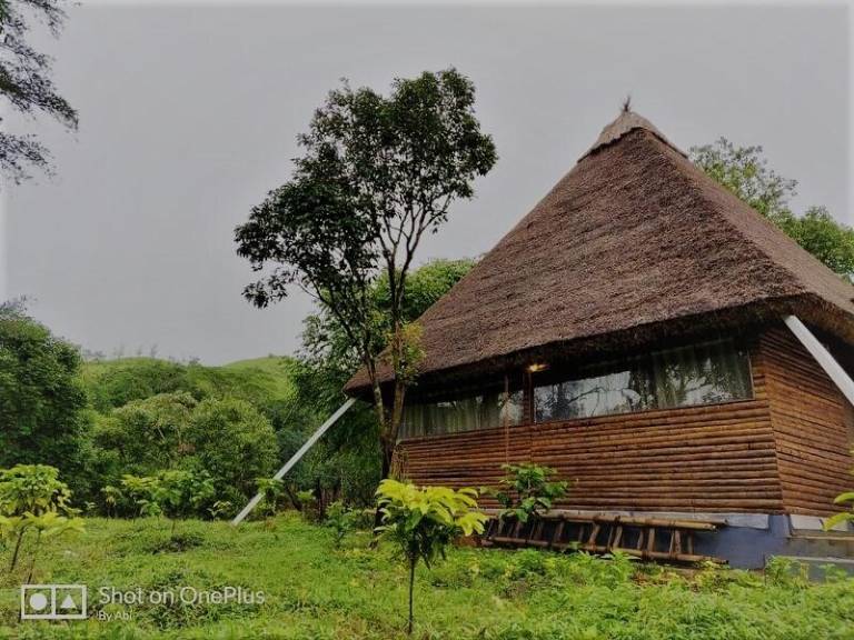 Home  Mandalpatti