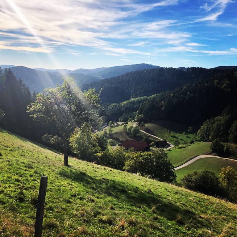 foto41