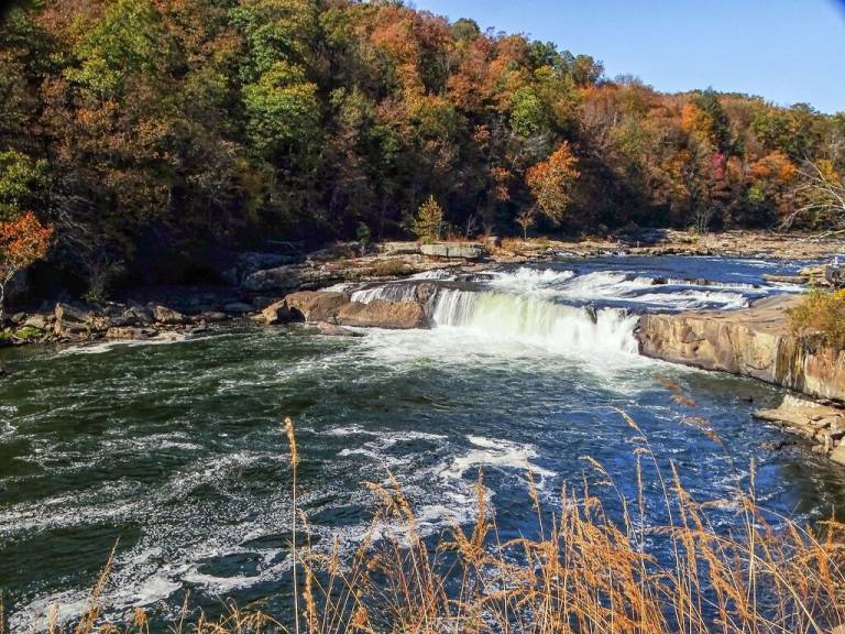 House Ohiopyle