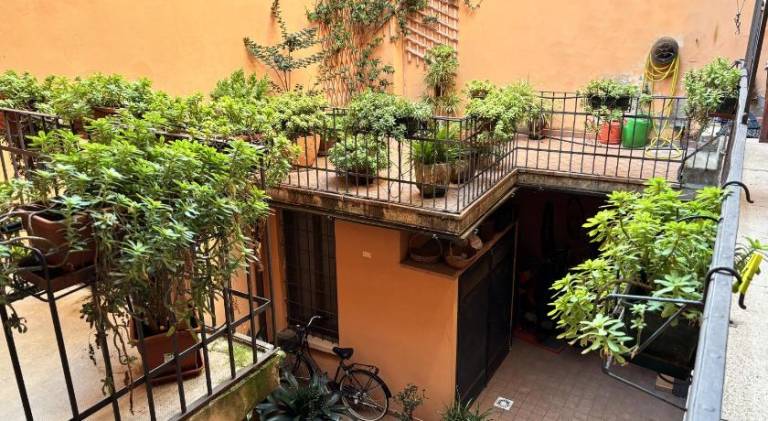 Beautiful holiday apartment | Pets are welcome — photo 2