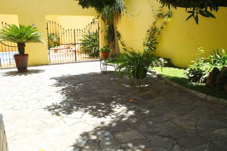 foto8
