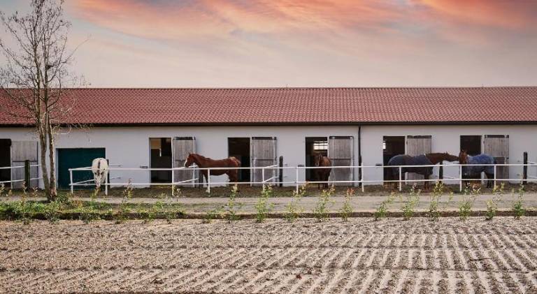 Lovely farm with patio & yard | Pets are welcome — photo 4
