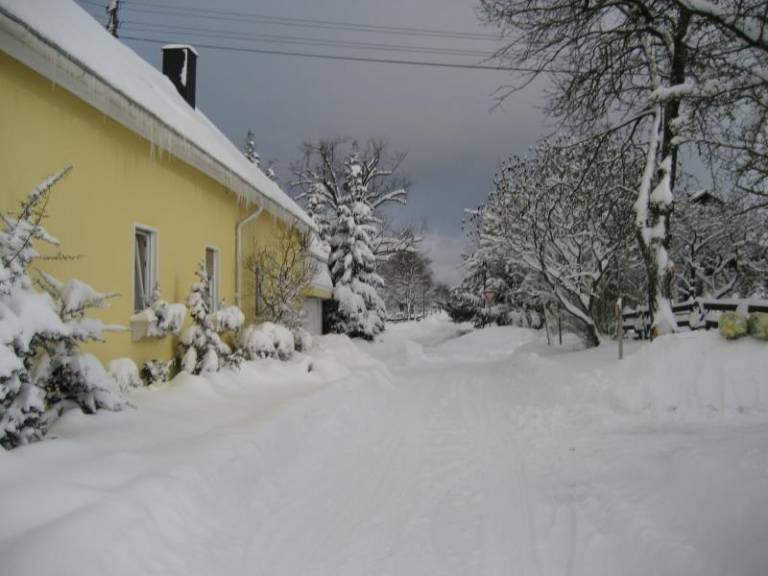foto19