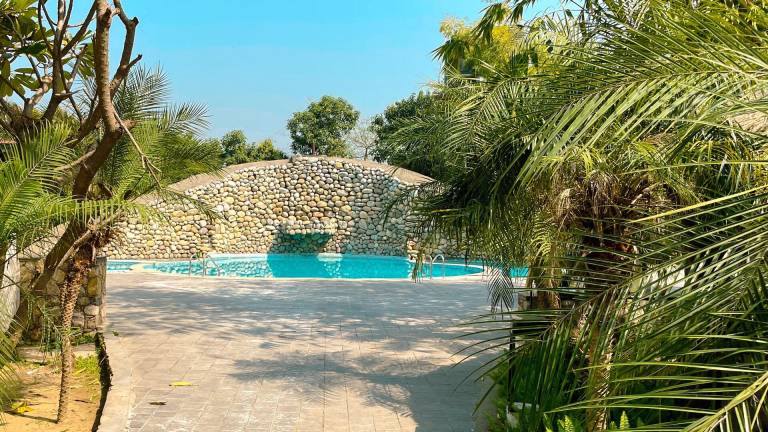 The Roar Resort — photo 5