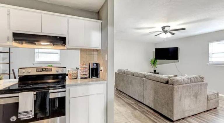 Ample holiday apartment | Pets are welcome — photo 3