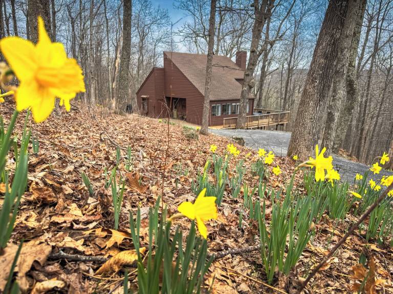 Cabin Wintergreen Resort