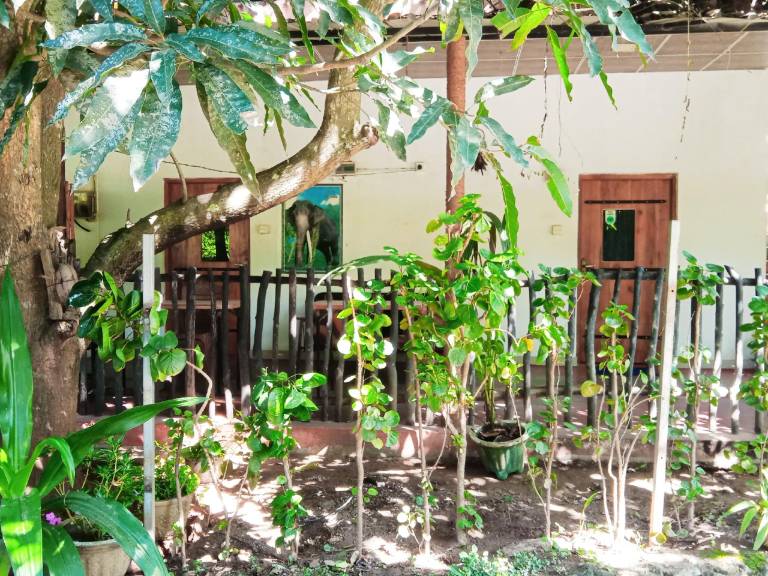 Ashadi Villa — photo 2