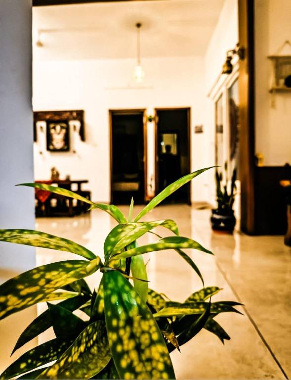 297 m&sup2; Ferienhaus