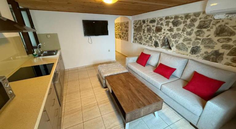 σπίτι  Πλάτανος