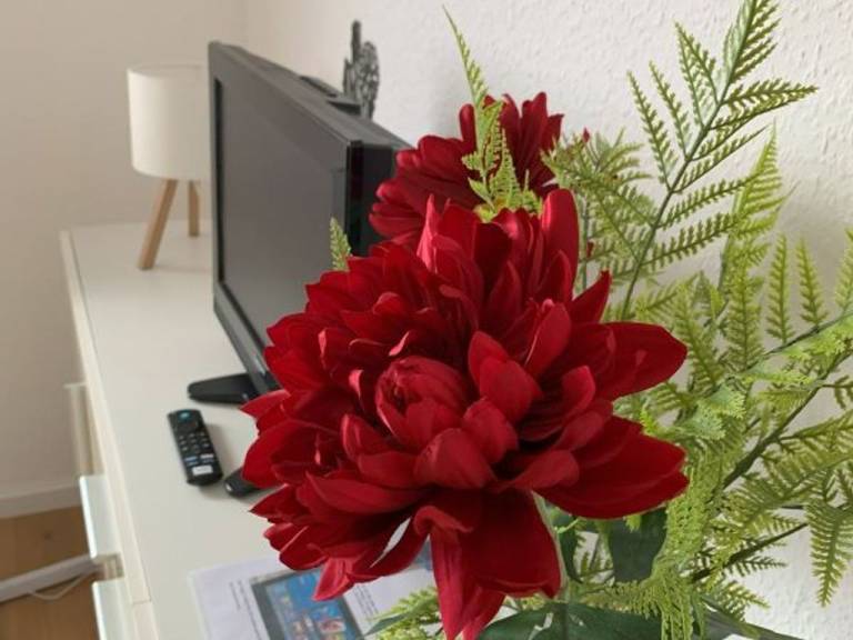 foto3