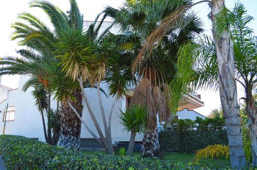 Appartamento Villafranca Tirrena