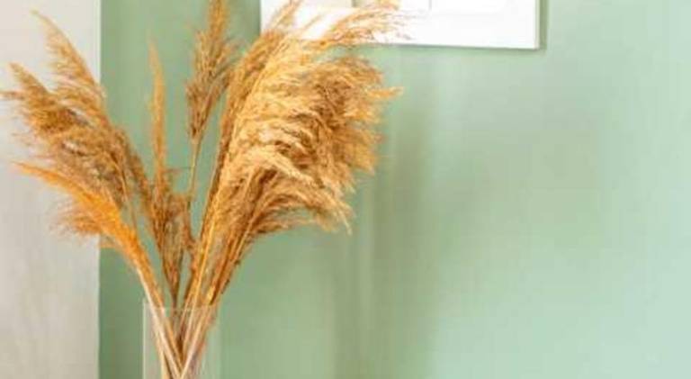 Charming holiday apartment | Pet-friendly — photo 5