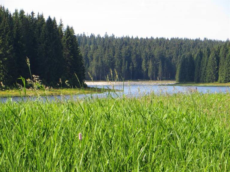 Talblick - Pension & FeWo s — photo 2