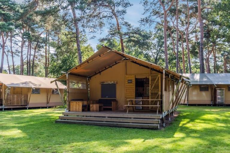 Beautiful tent with patio & heated pool | Beach nearby | Dogs allowed in Mierlo