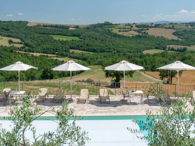 House with barbecue, patio & private pool | Nature view | Perfect for remote work — photo 4