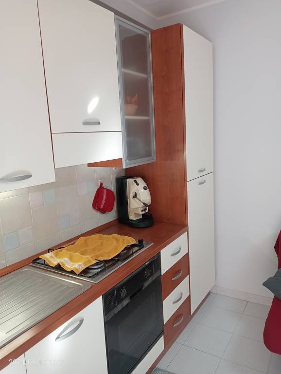 Rental apartment with terrace — photo 5