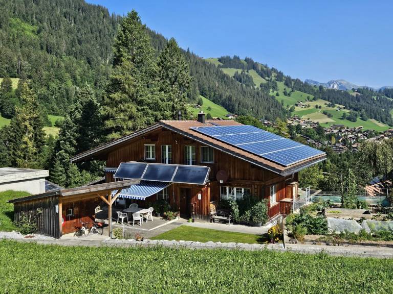 Appartement Zweisimmen