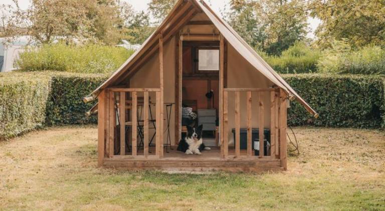Camping Onlycamp Sous les Pommiers — photo 5