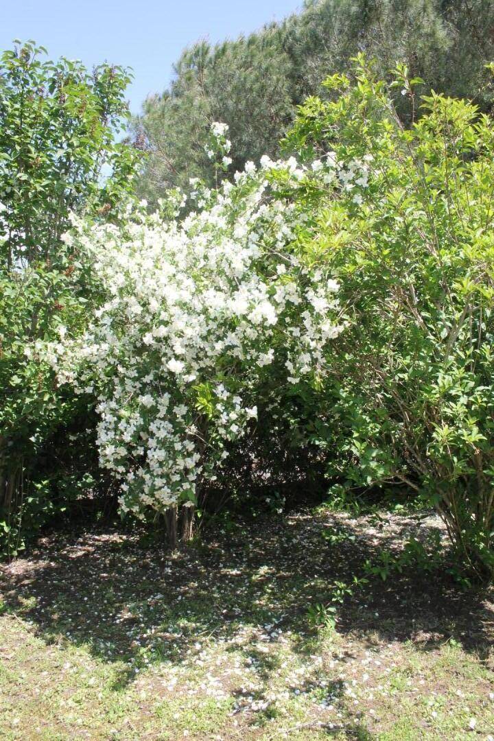 foto31