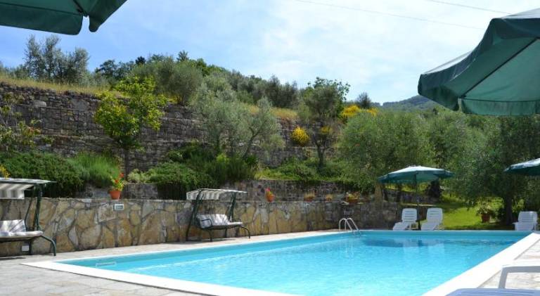 Nice farm with garden, patio & pool | Dogs allowed — photo 2