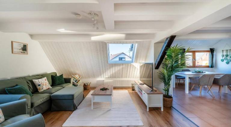 Charming apartment | Pets allowed in Donaueschingen