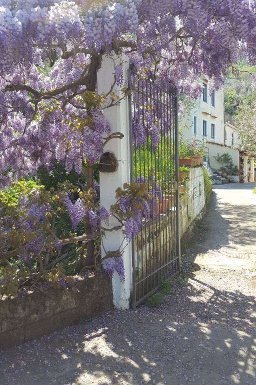 Charming apartment with yard | Pets allowed — photo 3