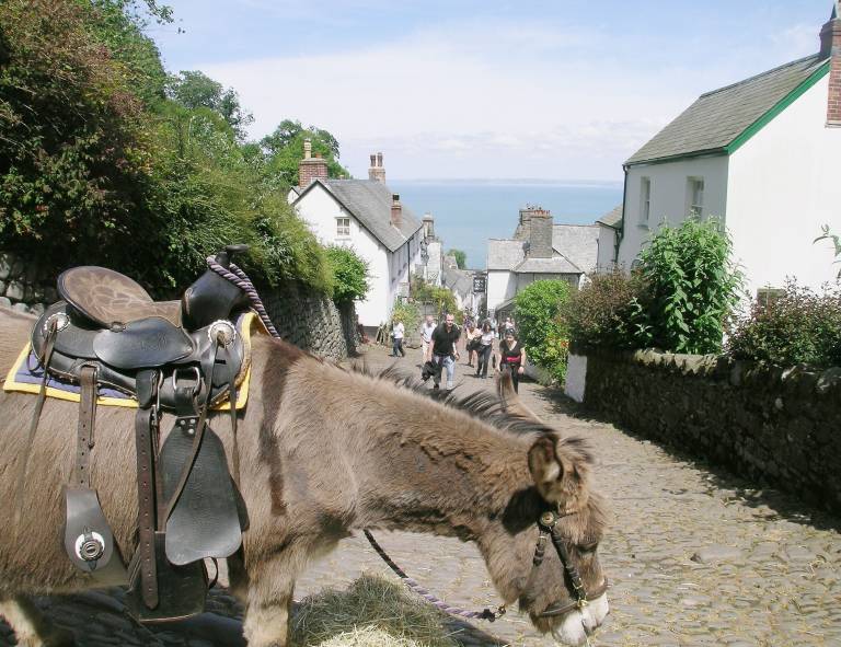 Cottage  Instow