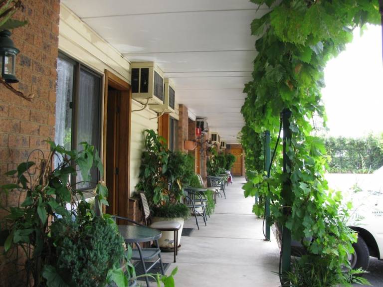 Motel  Muswellbrook