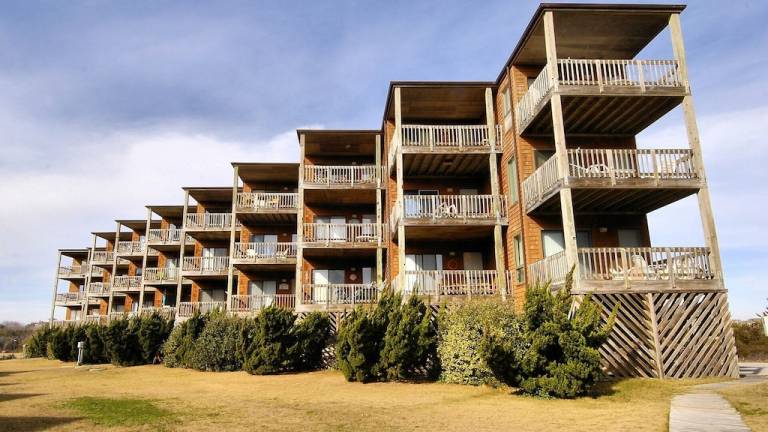 Condo Duck