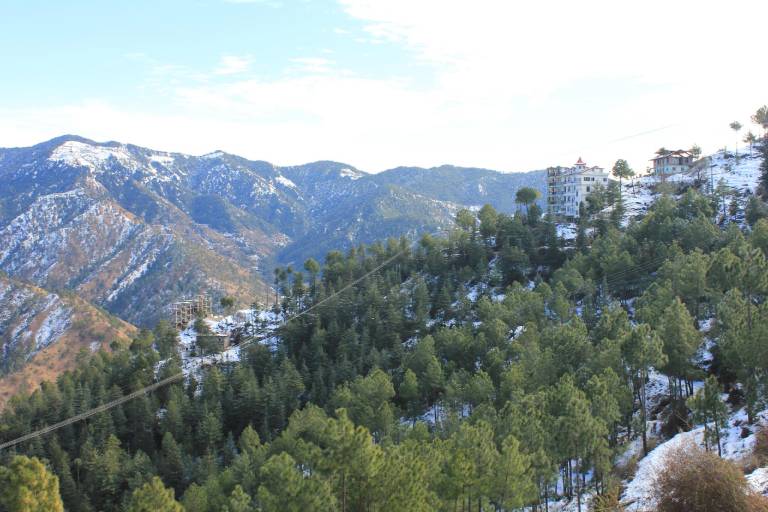 Silverpine Apartment & Homestay — photo 3
