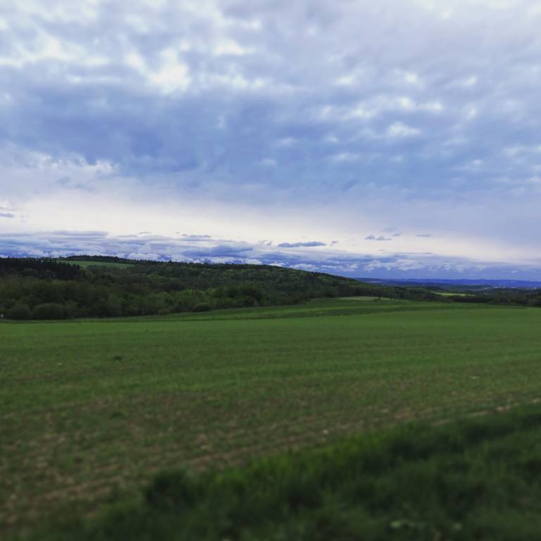 foto19