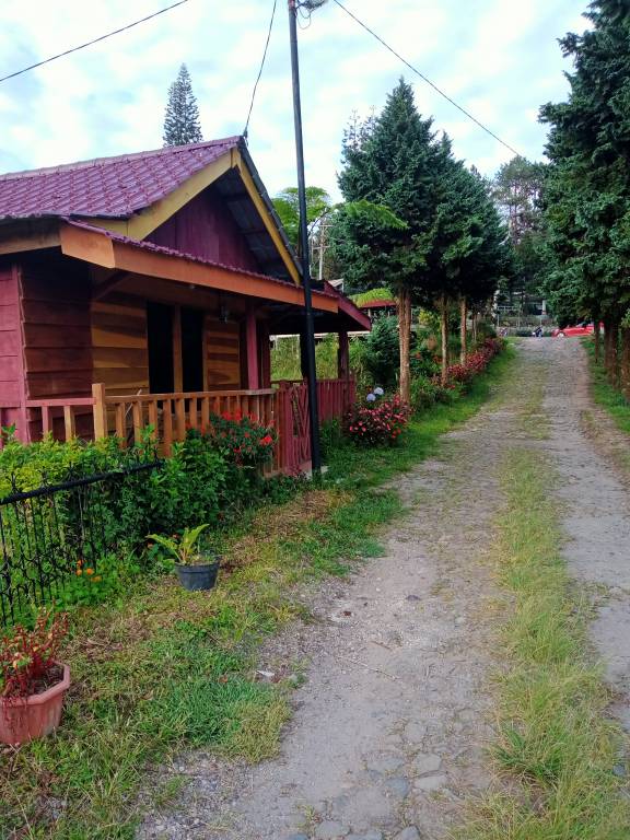 foto2