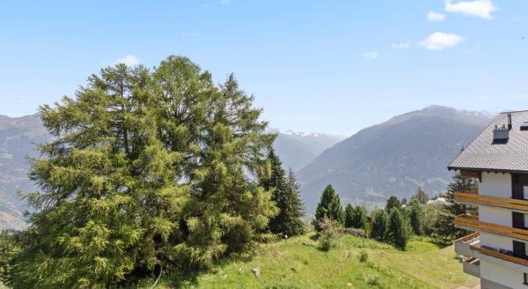 Thyon-les-Collons, 4 pers - Balcon avec vue — photo 5