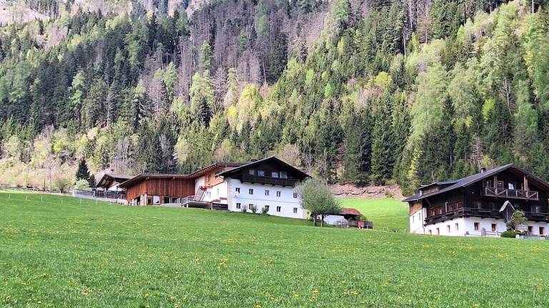 Ferienwohnung  Lienz